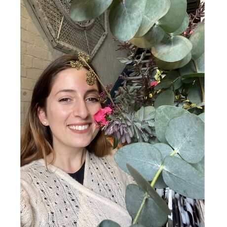 34e14724 98b1 49df 89b2 1c1bd864db46