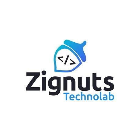 Zignuts logo  1 