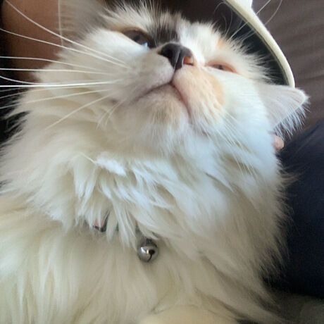 1093b83e 0e7d 4fee a05c 0587fe66d7b2