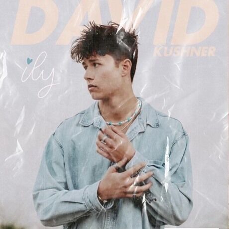 David kushner merch 1