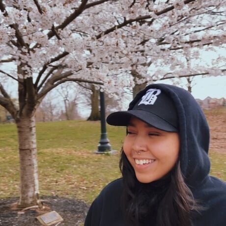 C311bbc3 272b 4ea5 85cd 3bcdf368d7b2