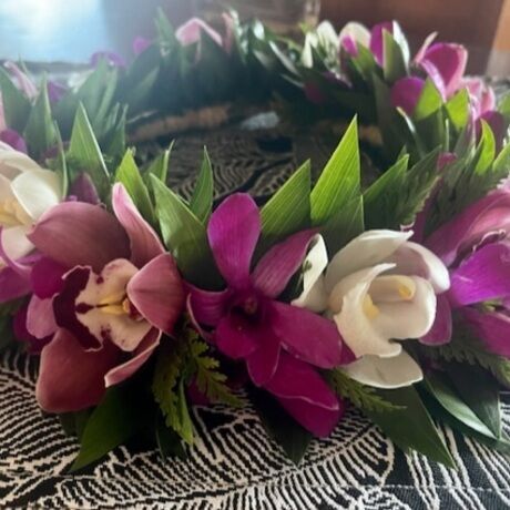 16d8b322 cf86 45bc a7d1 96f1cea061d8