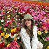 Small img 1914