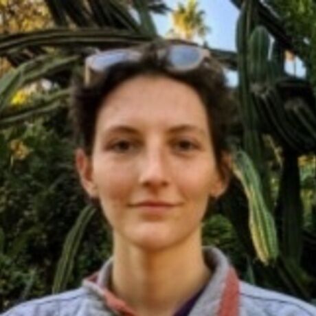 9b6d0fd1 7461 4f70 82f5 85e5a930f256 4 5005 c