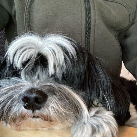 70369225007  b9038524 3415 434c ae52 a29f34184820