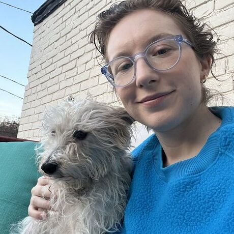 D41bb03b 6a9a 4c5c 8c12 ce302d9a6201