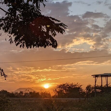 Pxl 20230917 033840876.mp