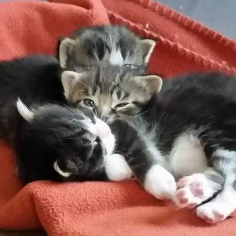 Fb img 1654057954951