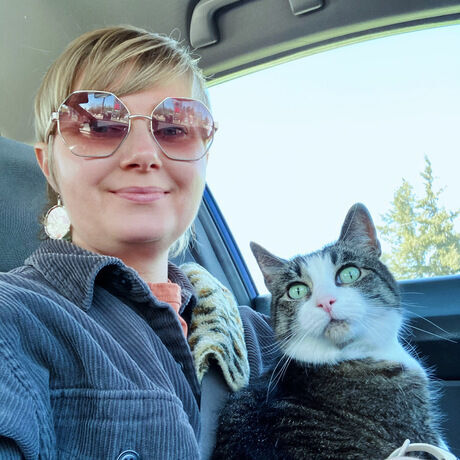 3e125907 bb75 4742 9975 a1cd99caa156