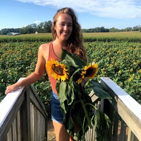 7b1264aa d08d 4ec2 a17a 93e0d61a3808