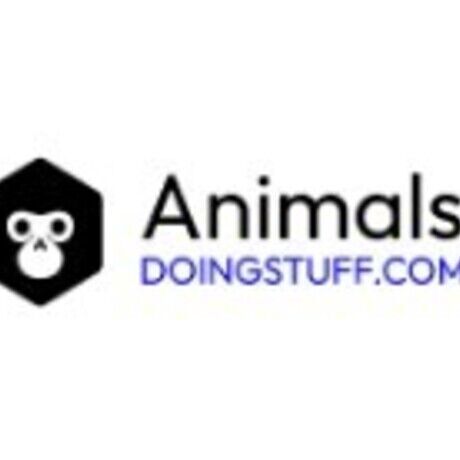 Animaldoingstuff