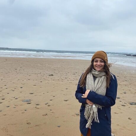 B8bd949a 4951 496e 8185 d8683650da46