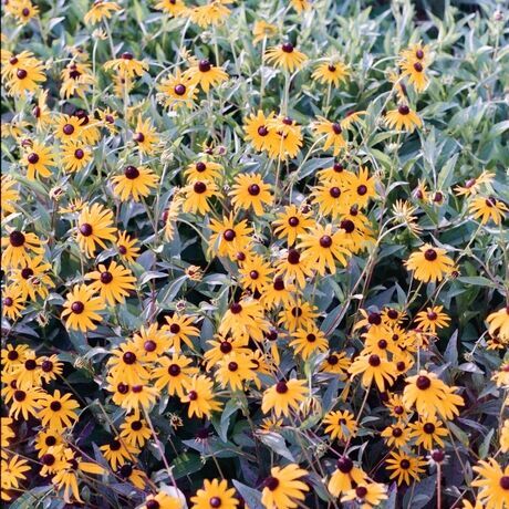 40ac250d 6df7 4c6d 9337 30b987f6c9ac