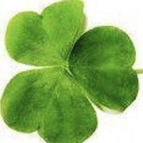 27771ec5 f9d0 494c 81ce a9e1ca834949