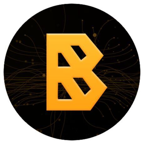 Bnq bitnasdaq logo