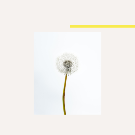 01.08 el baile es vital  3 