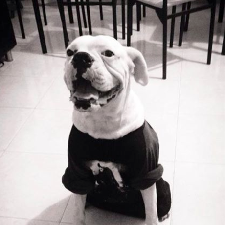 Captura de pantalla 2014 11 24 a la s  13.01.08