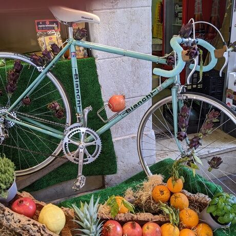 Fruit bike 20230527 copy