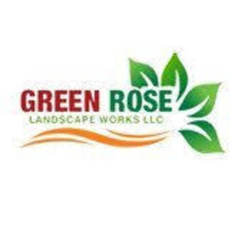 Green rose