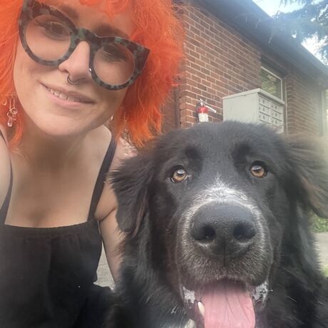 Screen shot 2024 01 10 at 9.14.17 am