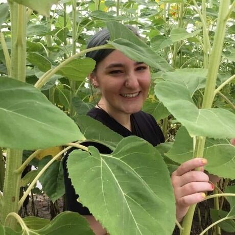 30ac2ed2 0e40 4f16 b6cd 175fe2ae87cd