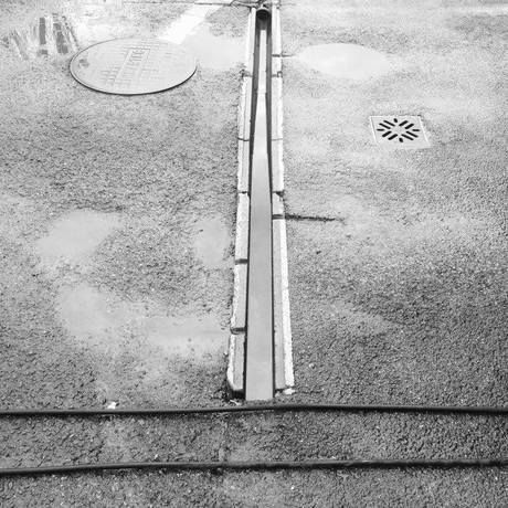 12443299 10206272610354389 54516237 n