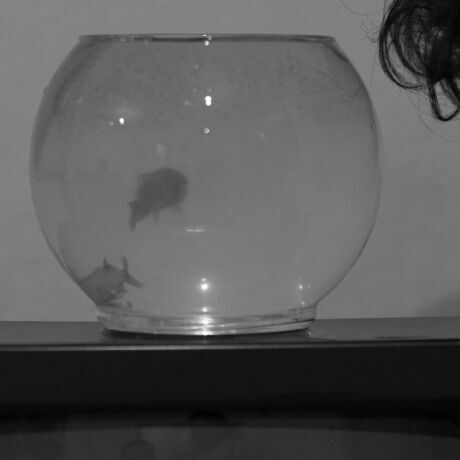 Whatsapp image 2023 09 18 at 13.45.54