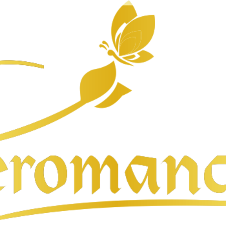 Feromance logo