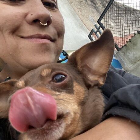 36b4f2db c88d 4465 a46f 4bae61d8c892