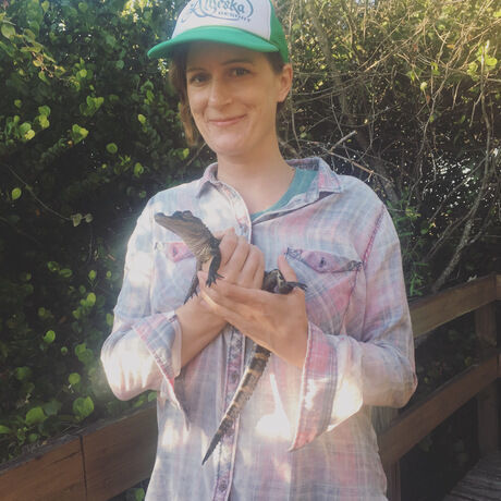 8169cf79 7dbf 4f2f 8554 df3db8bae9dc