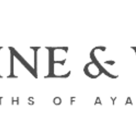 Vine and vision logo