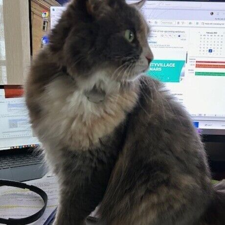 Creativemornings profile