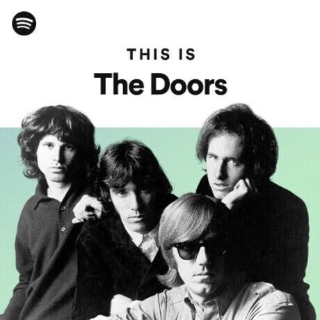 The doors merch
