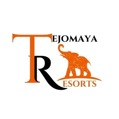 Head elephant logo sign emblem isolated  2 