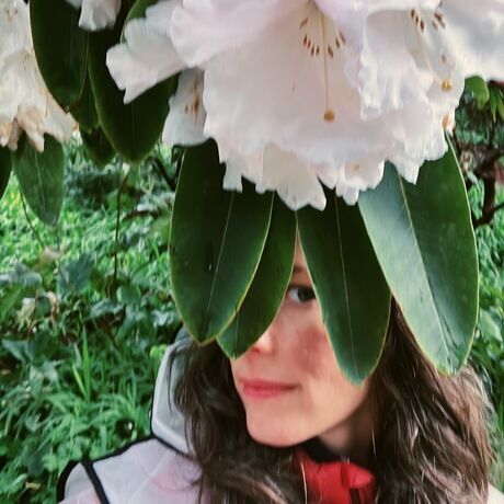 5e721647 f837 4f87 9531 341e50e64b47