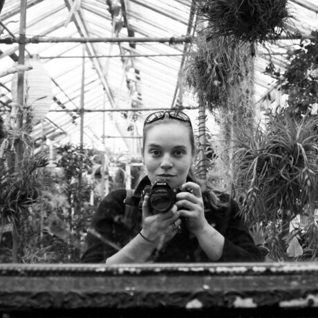 Greenhousedetail 0245