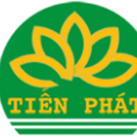 Logo xe nang tien phat