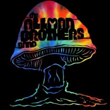 The allman brothers merch 1