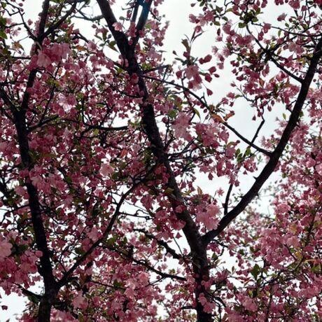 Screenshot 20230413 115528 com.instagram.android