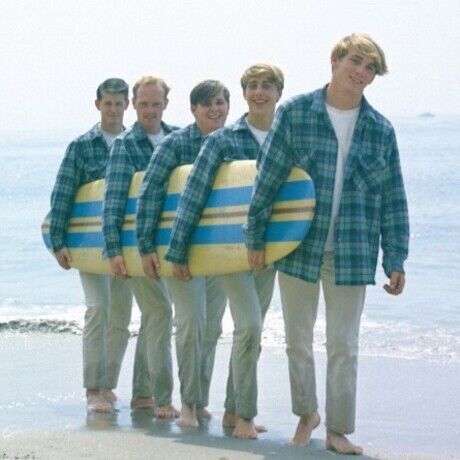The beach boys merch