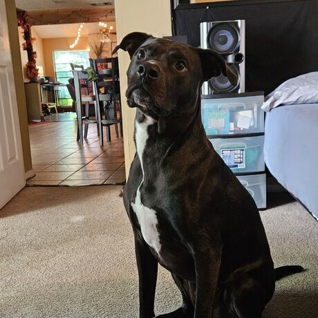 Inbound6659926203946025335