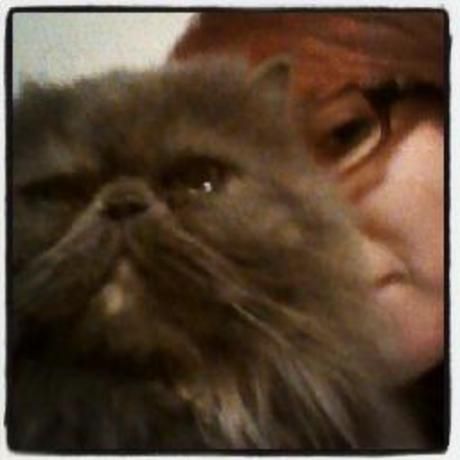 1cc36bc5154fecff7db5456cf59131b6