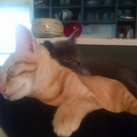 Screenshot 2024 04 05 020227