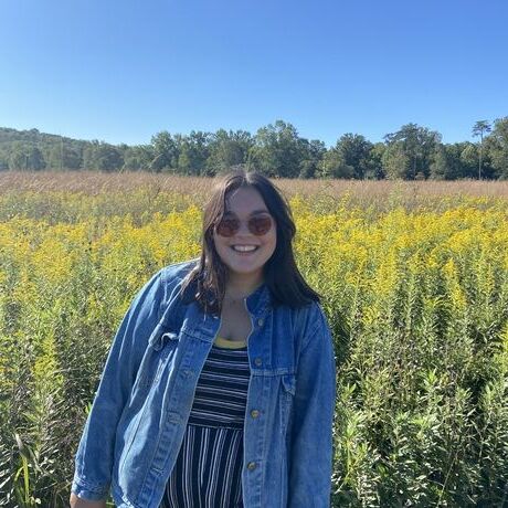 06c7dc7d 5495 4c33 af98 3287b4442180