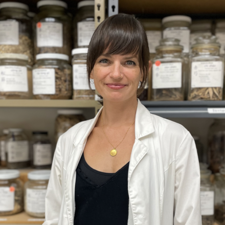 Synthesis medicine acupuncture heather vaughan acupuncture asheville ayurveda