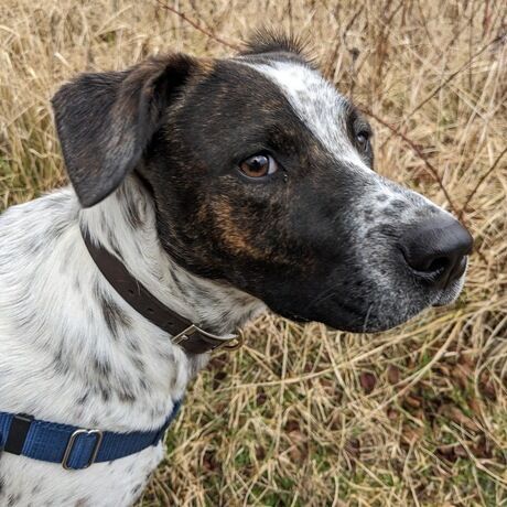 Pxl 20240224 212919006