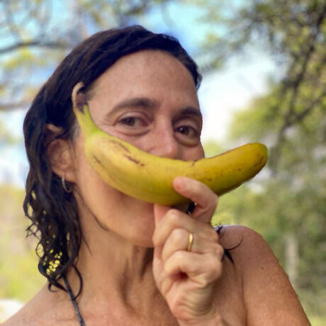 Dafi perfil banana
