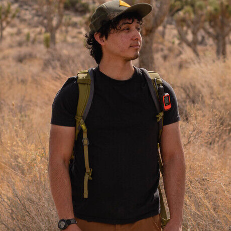 Joshua tree 26