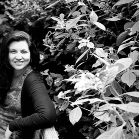 9b1331e7 4df6 4b05 89cb 63e6f85e98c0