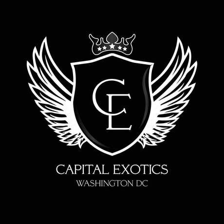 Capital exotic fav icon